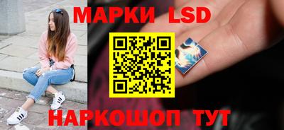 стафф Можга