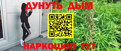 стафф Можга